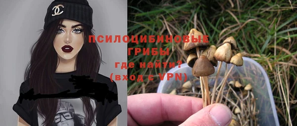 не бодяженный Абаза