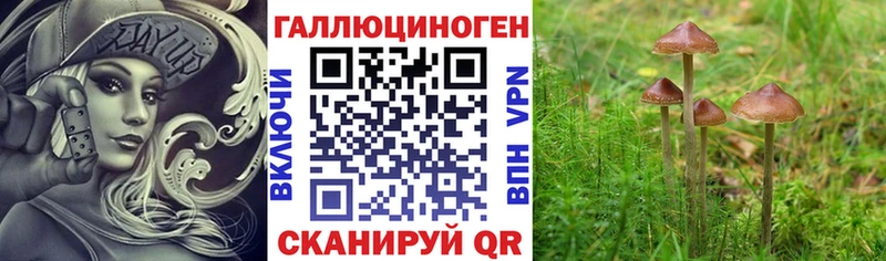 наркошоп  Тетюши  Галлюциногенные грибы Magic Shrooms 